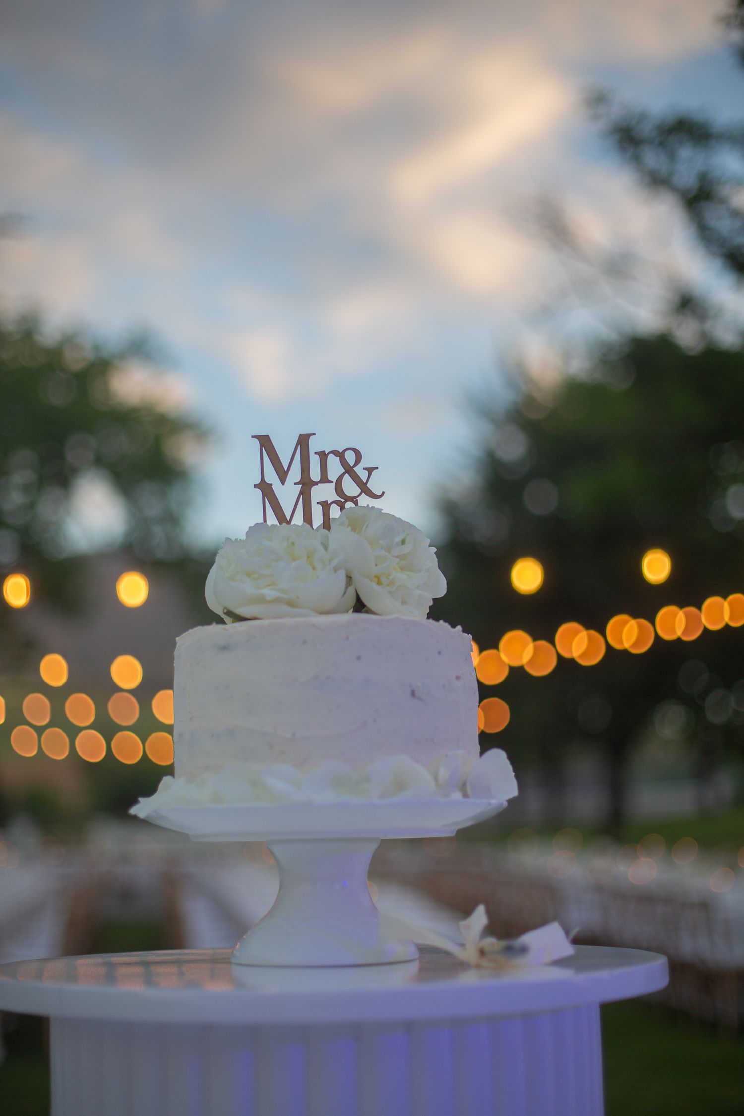 Bride and groom ceremony at Webersburg Wine Farm, Stellenbosch