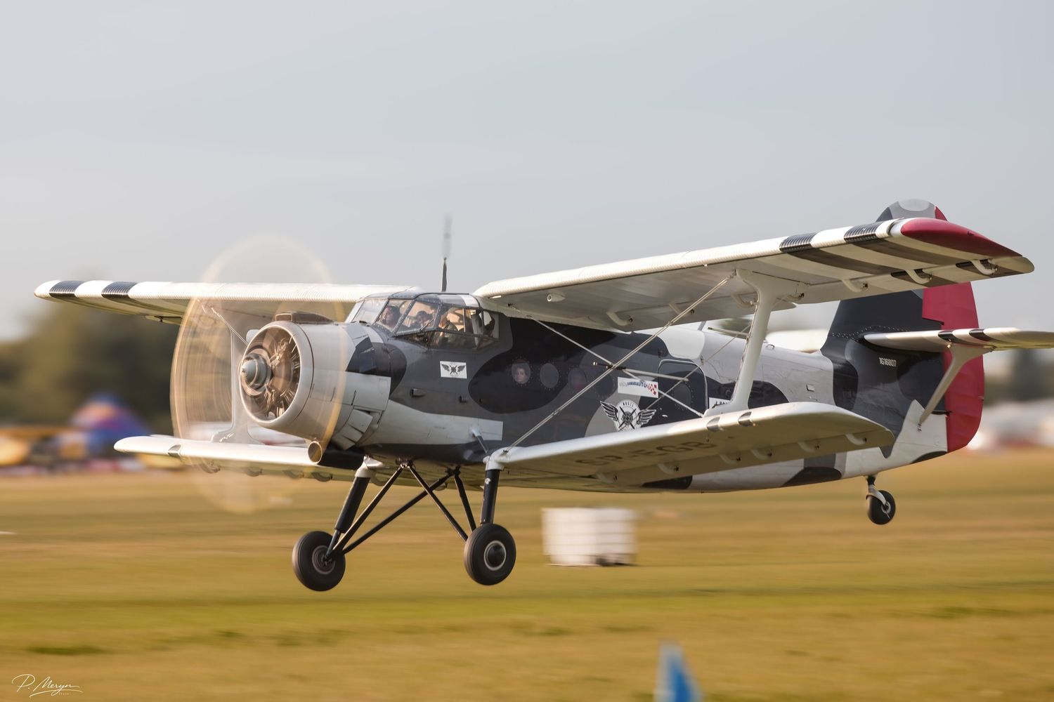 A classic high-wing monoplane aircraft with radial engine landing on a grass airfield at an airshow.