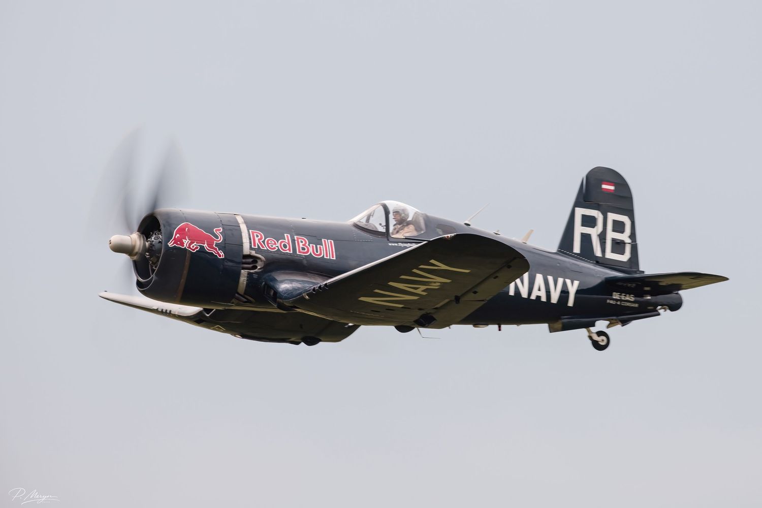 A Red Bull-sponsored Vought F4U Corsair WWII Navy fighter plane in flight against a hazy sky.