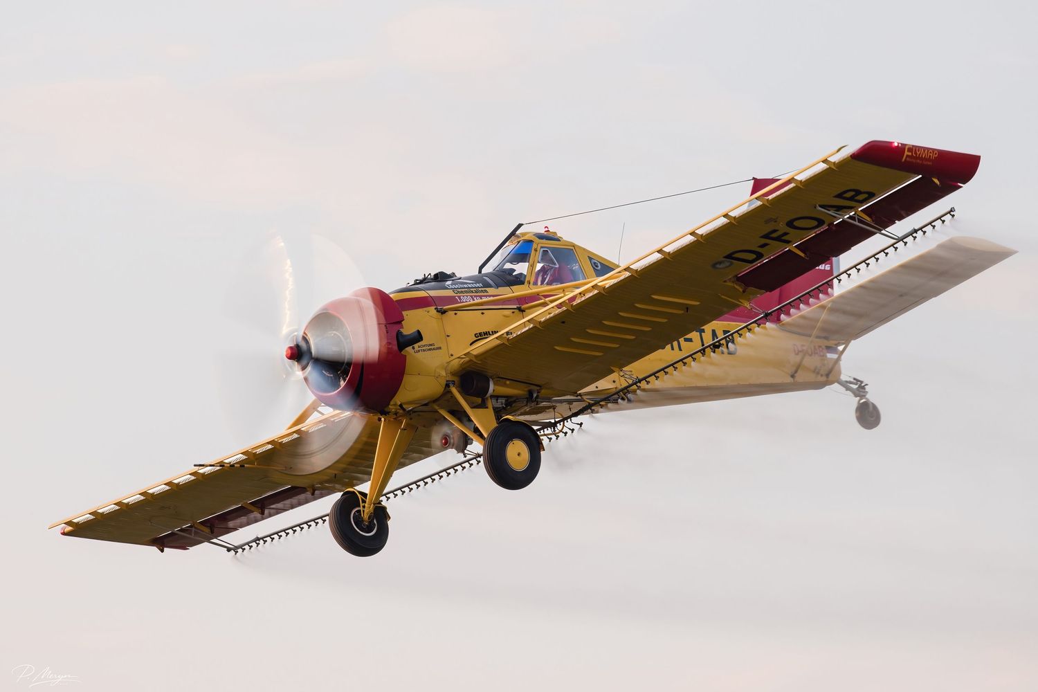 A yellow and red PZL Mielec M-18 Dromader agricultural biplane climbing steeply after takeoff at an airshow.