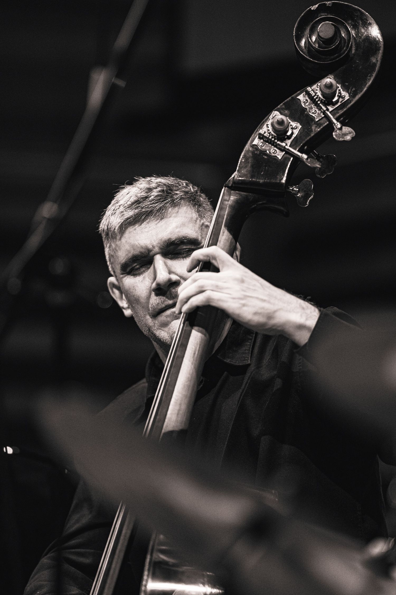 Black and white close-up portrait of a musician playing double bass at a jazz festival.
