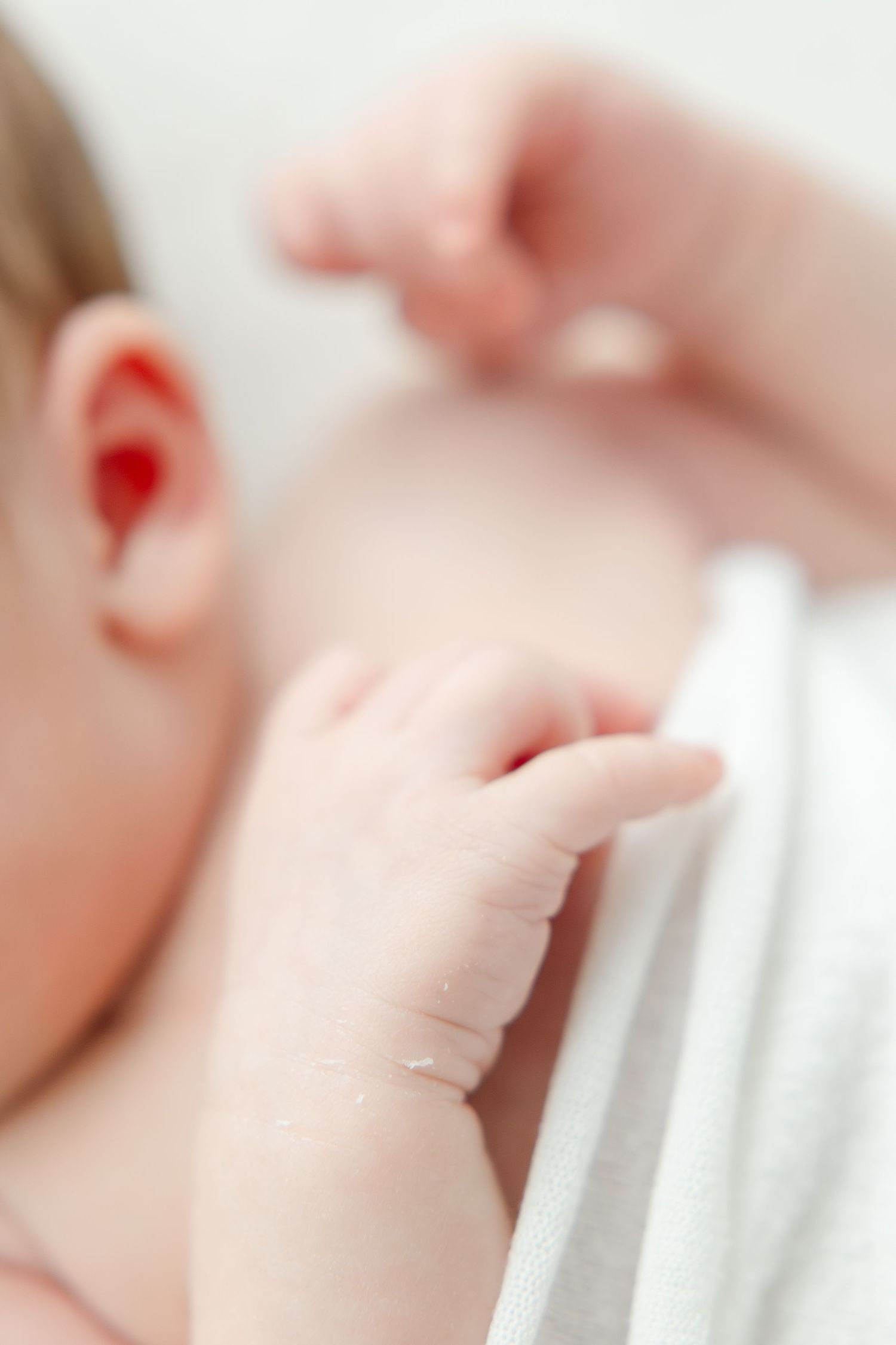Studio newborn photography in Asheville NC specializing in timeless, elegant newborn images.