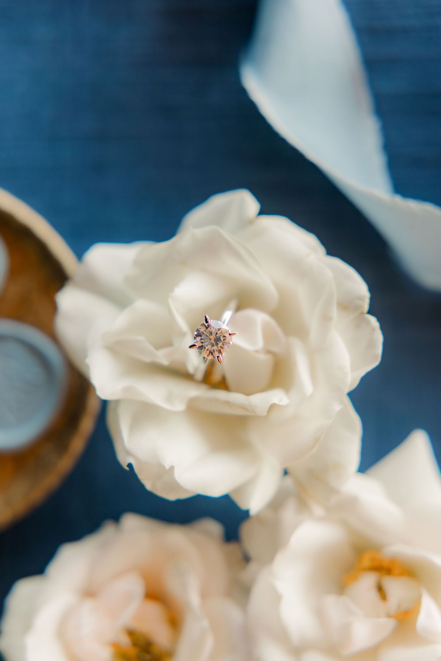 Greenville SC Photographer. Greenville Wedding Photography. Greenville Engagement Photography. Greenville Engagement Session. GVL Wedding.
