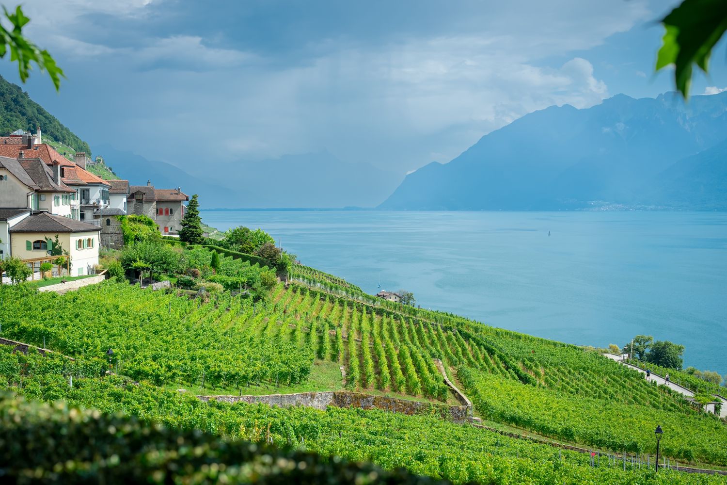 Vignobles de Lavaux bord du lac Léman décor mariage Suisse romande - Lavaux vineyard terraces Lake Geneva backdrop wedding Swiss Riviera