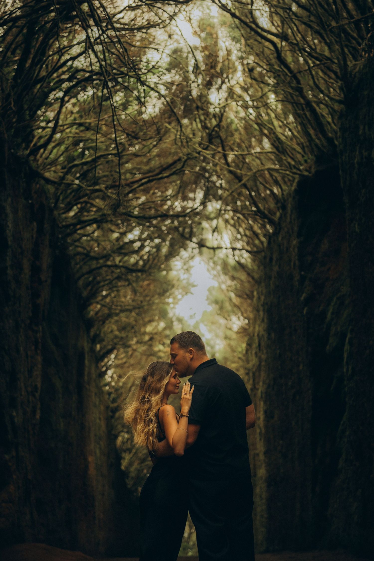Romantic couple embracing in a misty tree-lined path, surrounded by tall arching trees creating a dreamy tunnel effect.