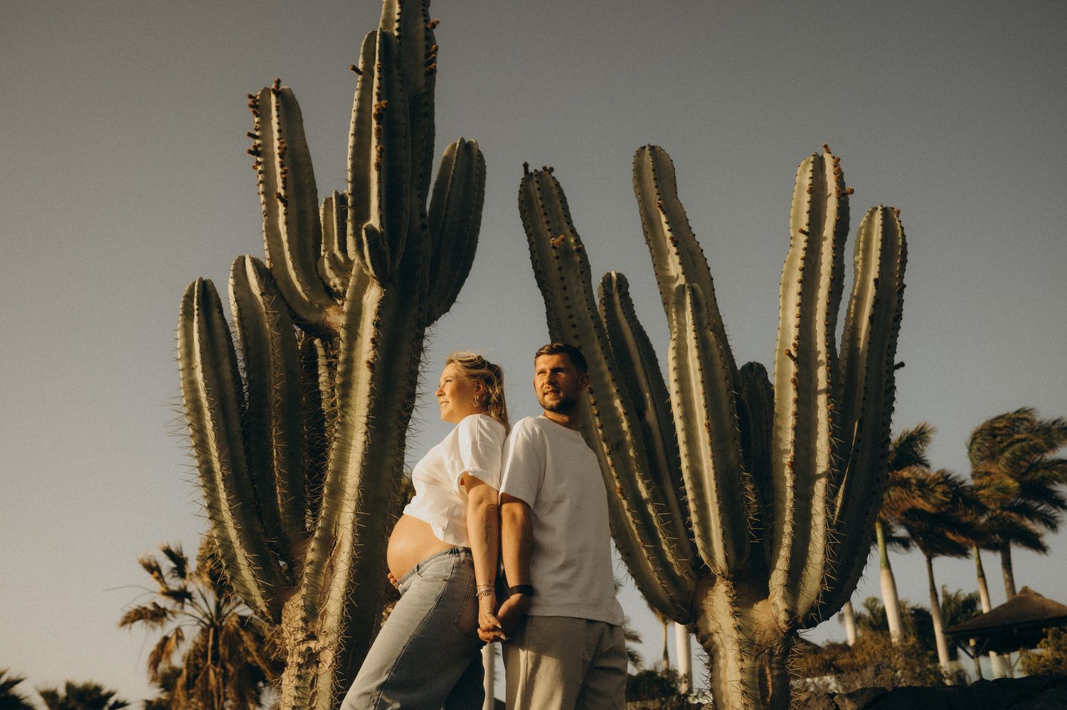 Couple standing back-to-back among tall cacti at sunset in a desert landscape.