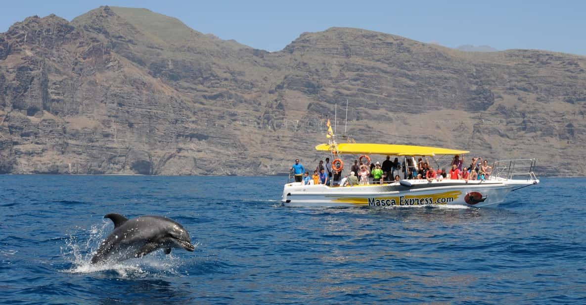 Excursion boat and jumping dolphin with Los Gigantes cliffs in distance, Tenerife