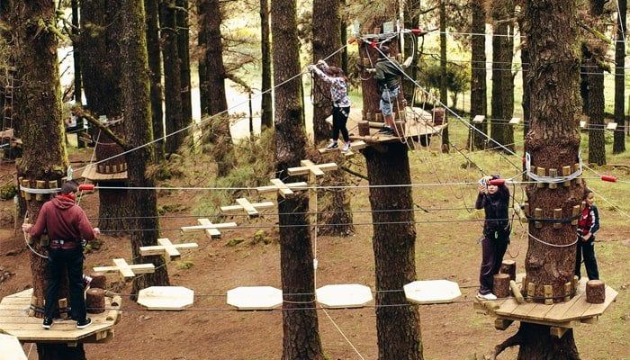 Family walking in Forestal Park treetop ropes