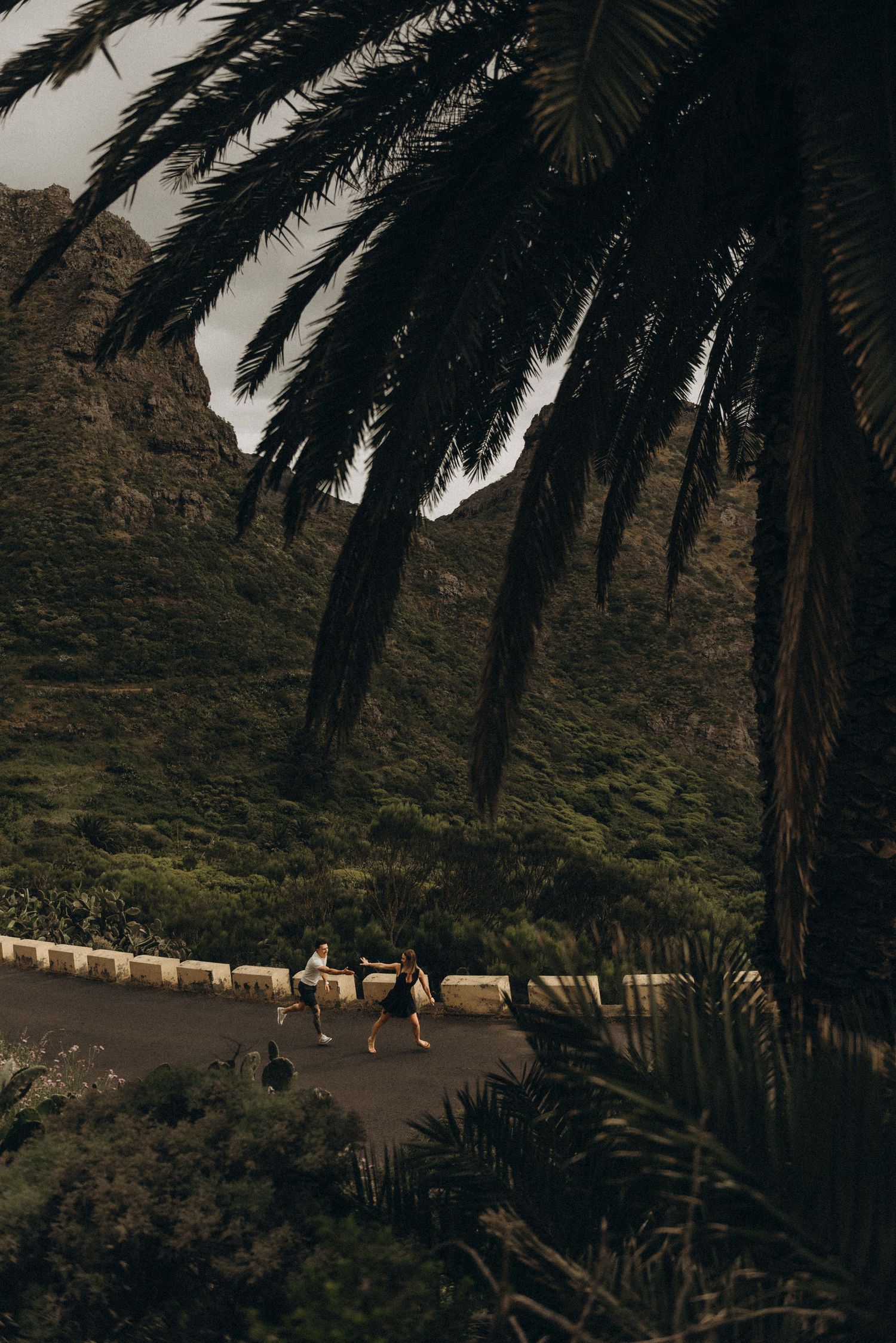 Two people walking on a winding road framed by a large palm tree with lush green mountains in the background.