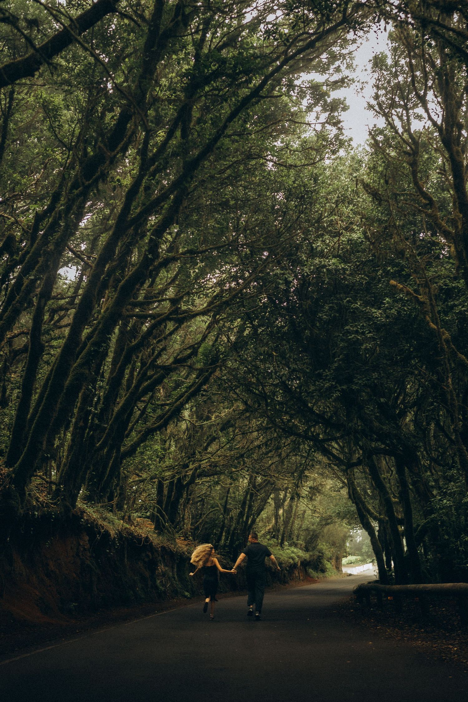 Couple holding hands walking down a tree-lined road forming a natural tunnel canopy in a lush green forest.
