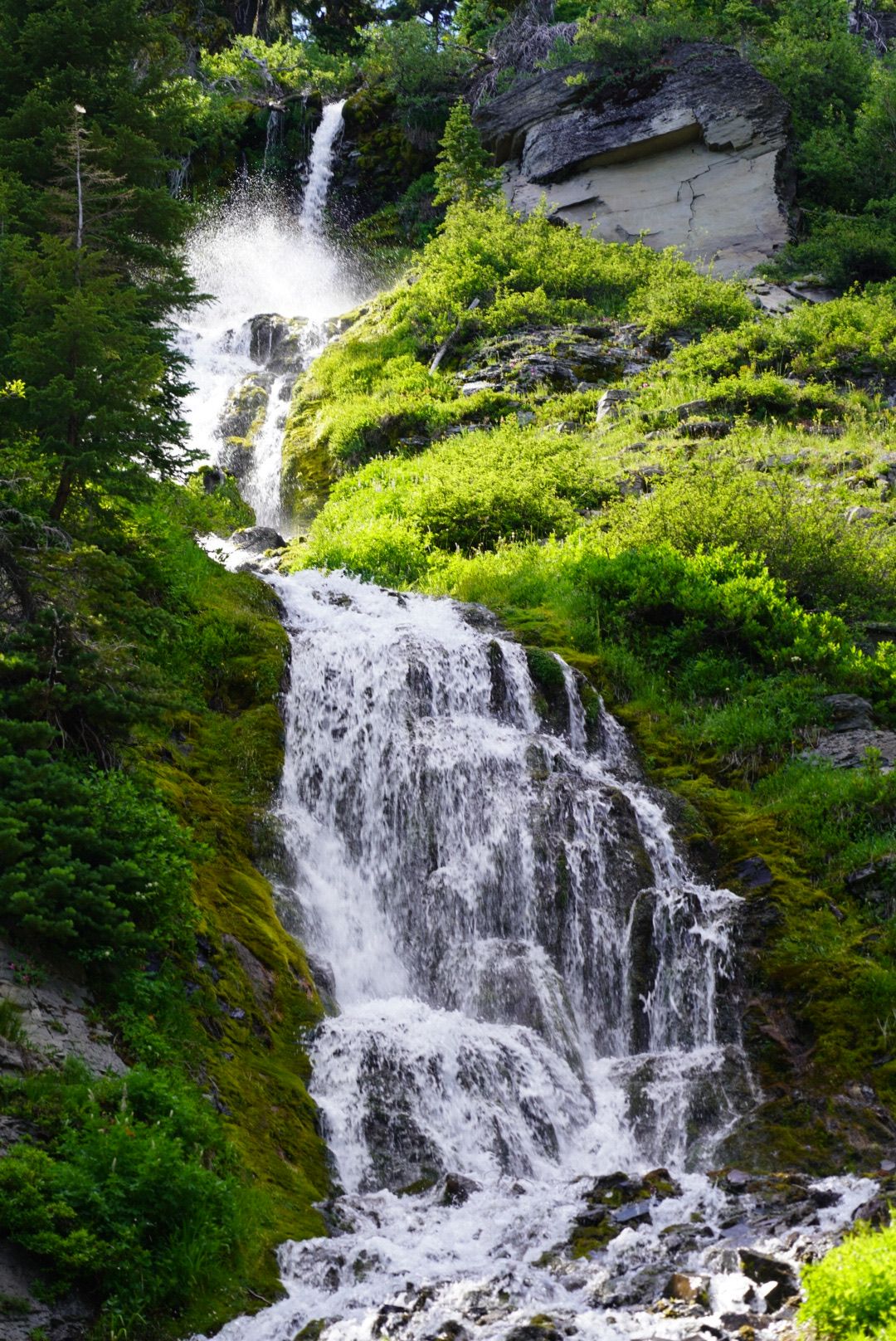 Pacific Northwest forest landscape photo from 90-day camper van road trip waterfalls
