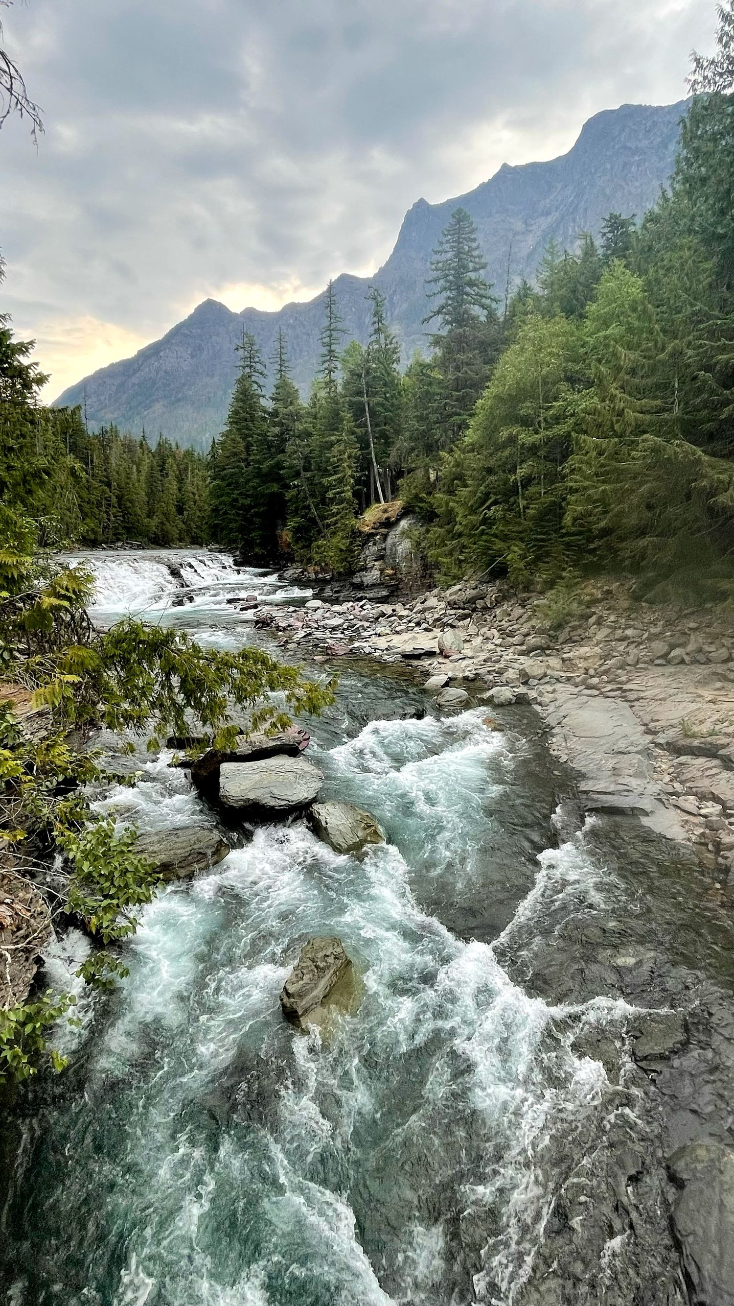 Glacier National Park photography Jenny Casad mountains, wildflowers, green grass and trees, blue skies and a river