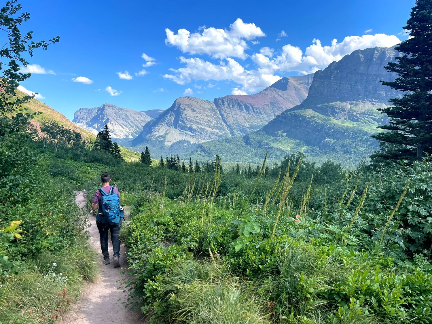 Pacific Northwest forest landscape photo from 90-day camper van road trip Glacier National Park