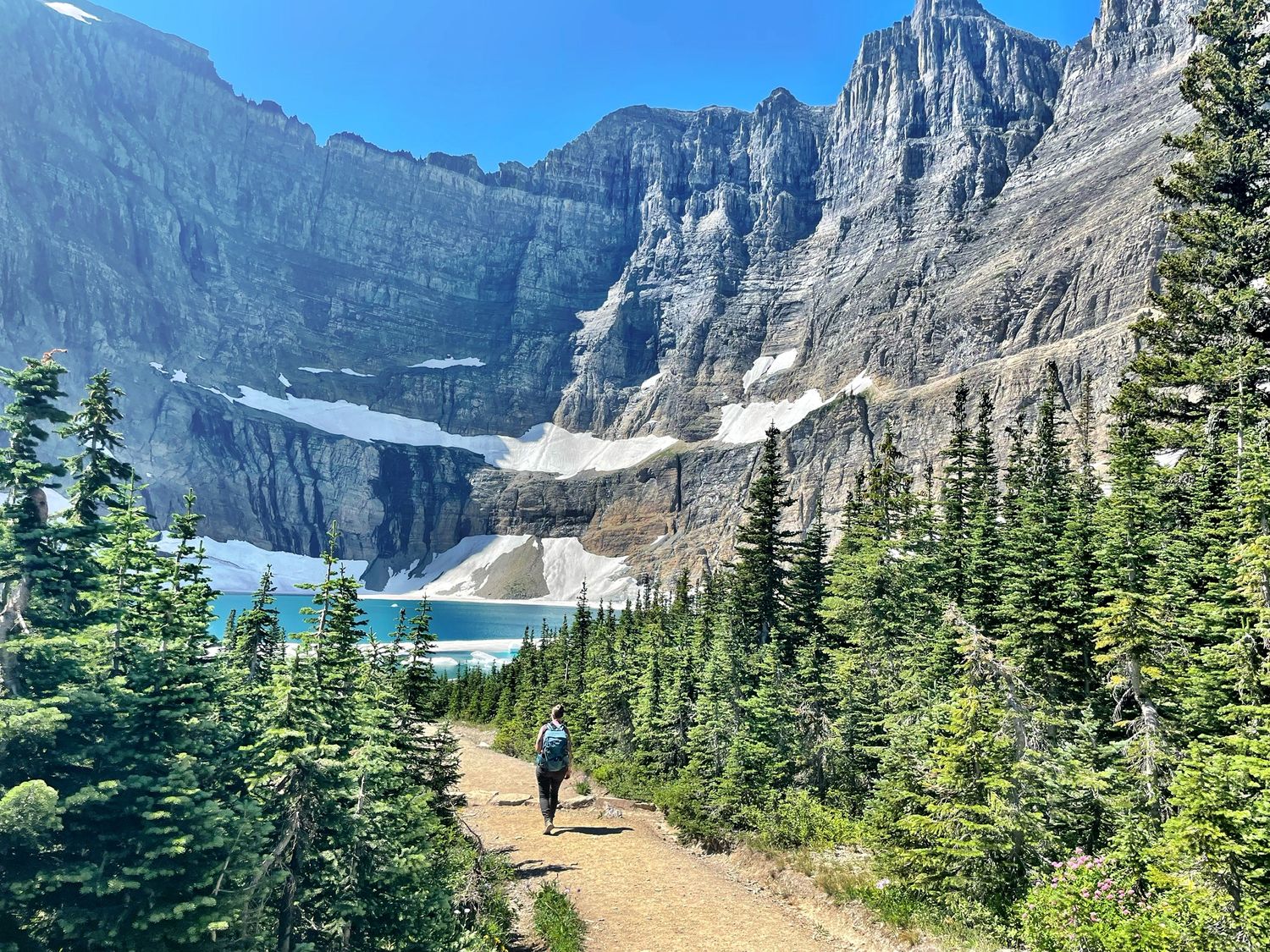 Pacific Northwest forest landscape photo from 90-day camper van road trip Glacier National Park Iceberg Lake hike