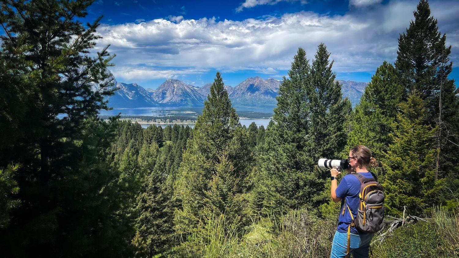 Pacific Northwest forest landscape photo from 90-day camper van road trip Grand Teton National Park