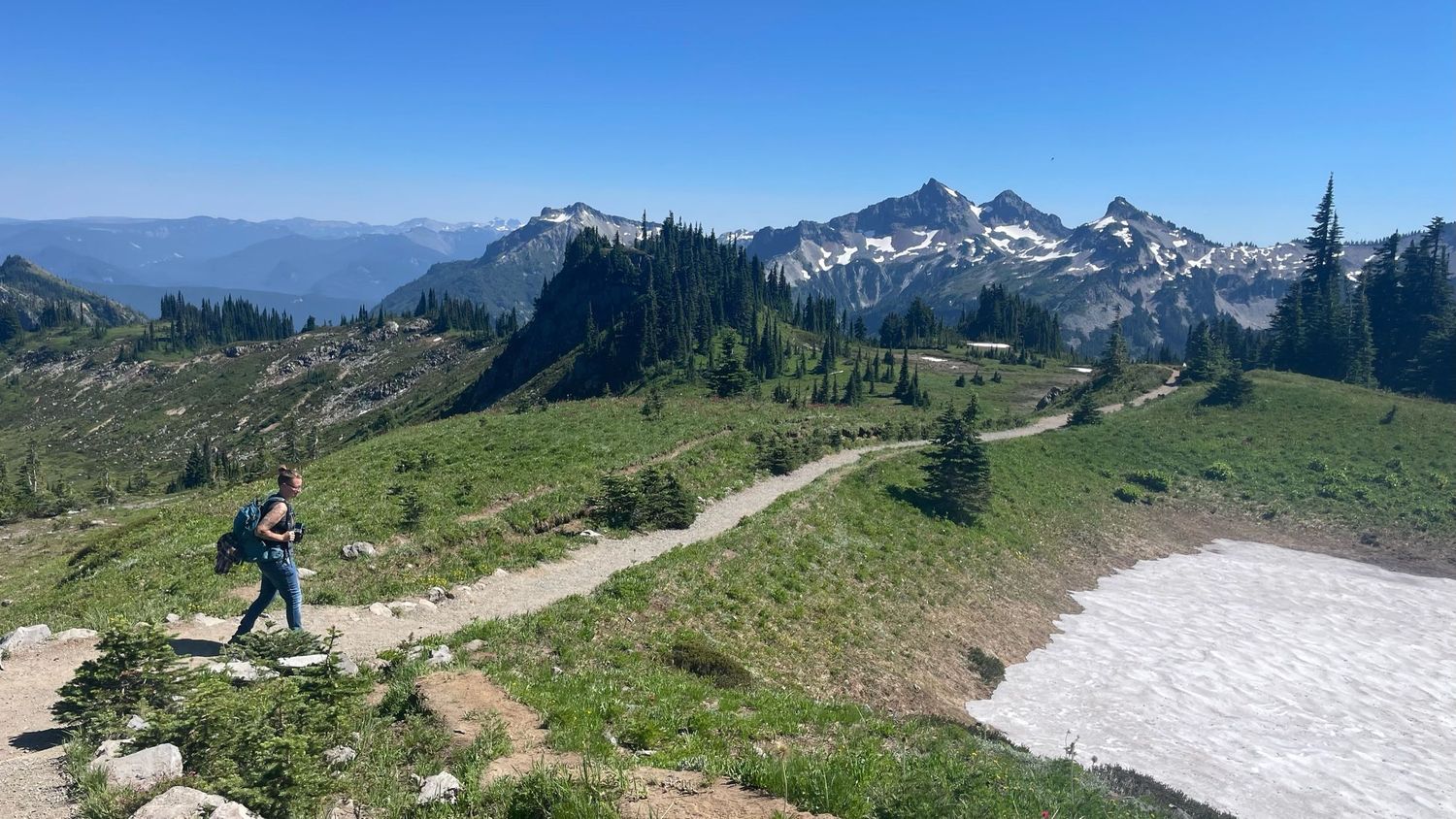 Pacific Northwest forest landscape photo from 90-day camper van road trip Mt. Rainier National Park wildflowers
