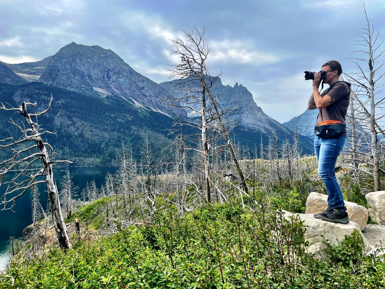 Pacific Northwest forest landscape photo from 90-day camper van road trip Glacier National Park Iceberg Lake hike photographer Jenny Casad