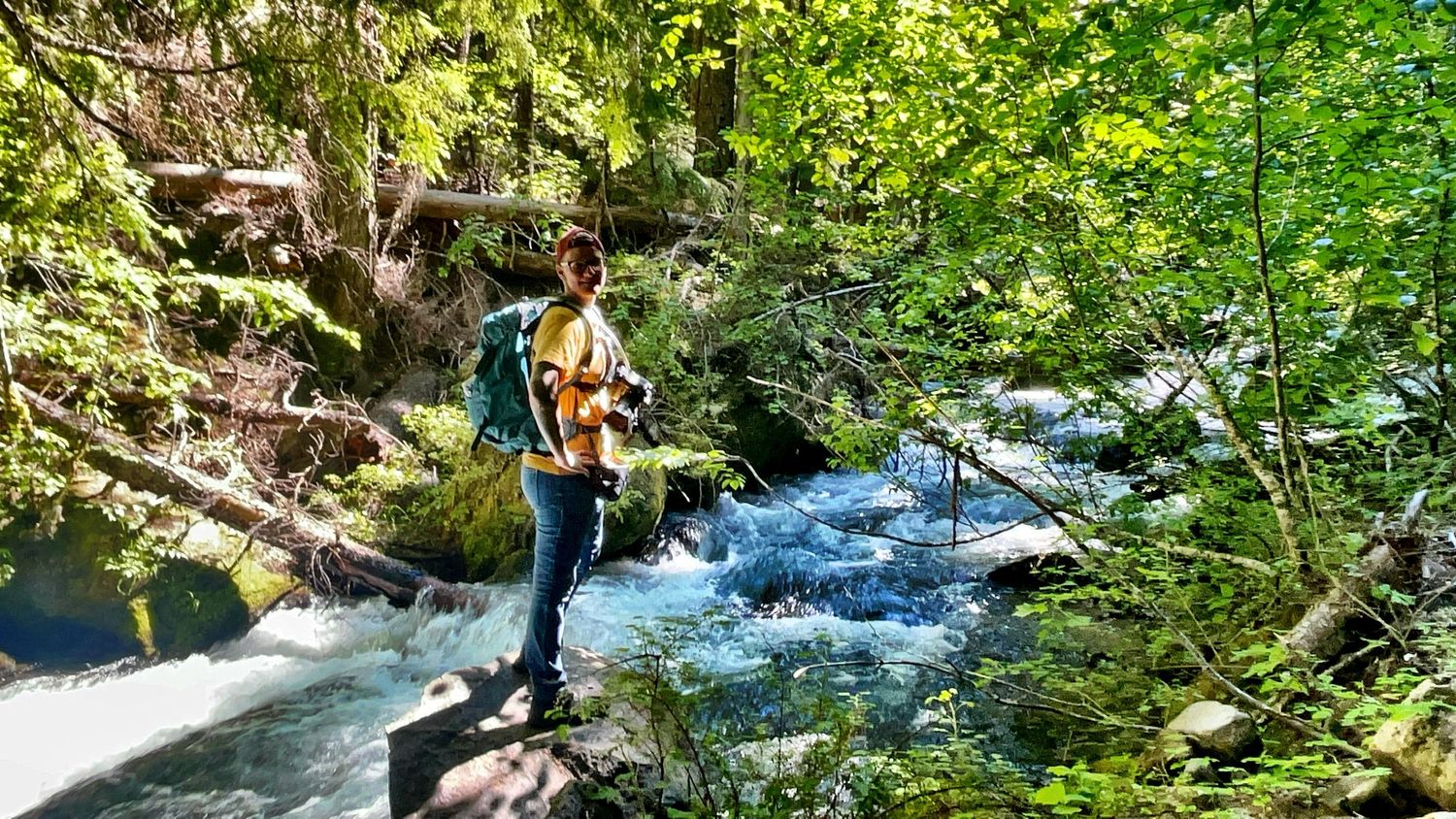 Pacific Northwest forest with a river from 90-day camper van road trip of photographer Jenny Casad