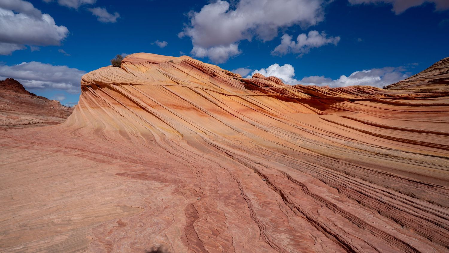 Photographer Jenny Casad at The Wave in southwestern Utah/Page Arizona the Second Wave