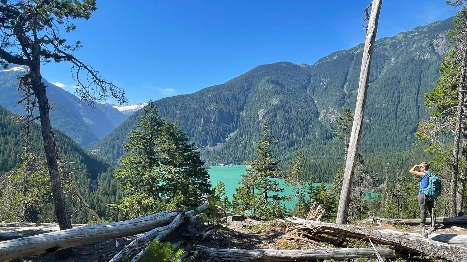 Pacific Northwest forest landscape photo from 90-day camper van road trip North Cascade National Park