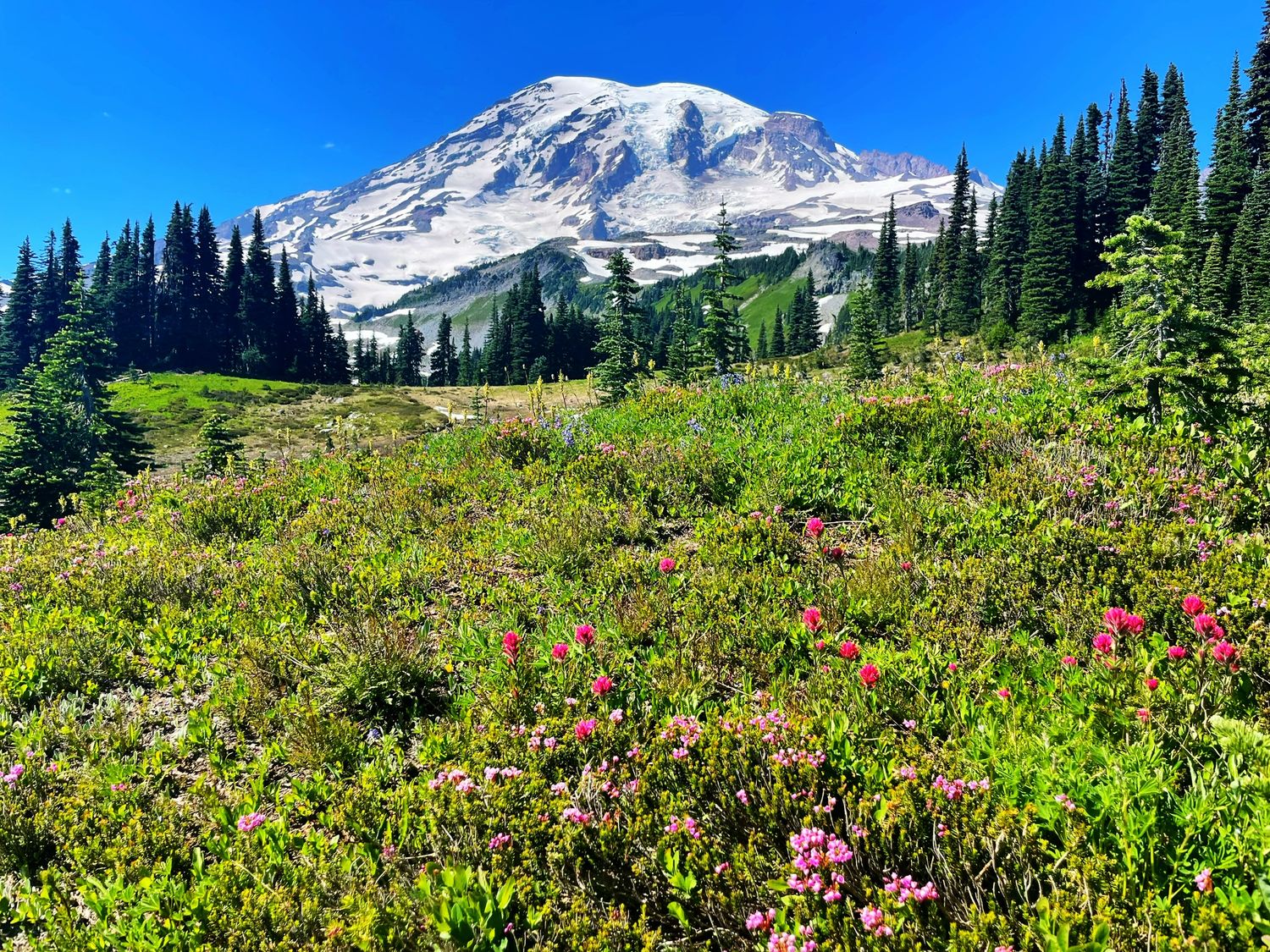 Mount Rainier National Park during 90-day camper van honeymoon road trip Pacific Northwest