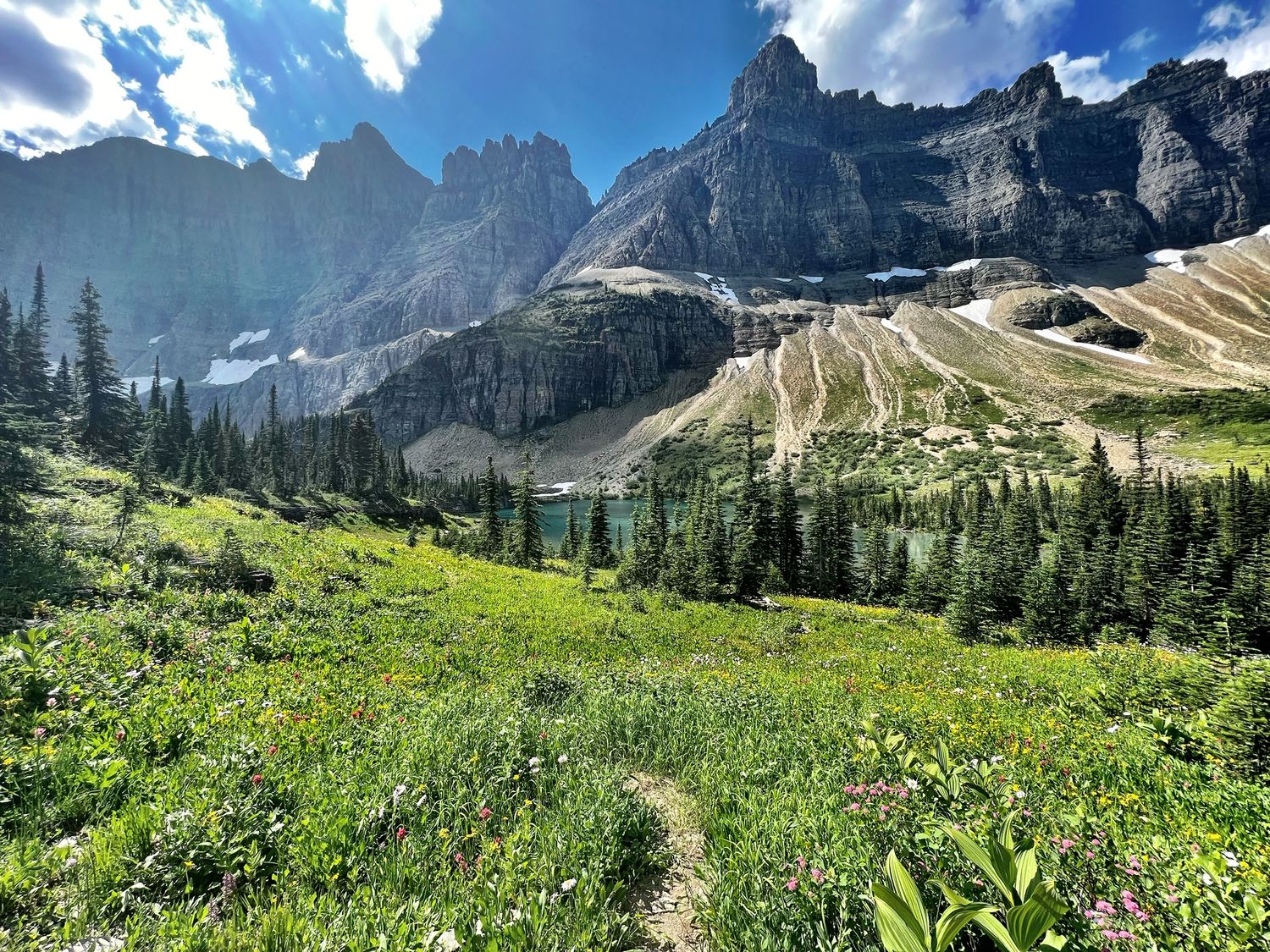 Glacier National Park photography Jenny Casad mountains, wildflowers, green grass and trees, blue skies