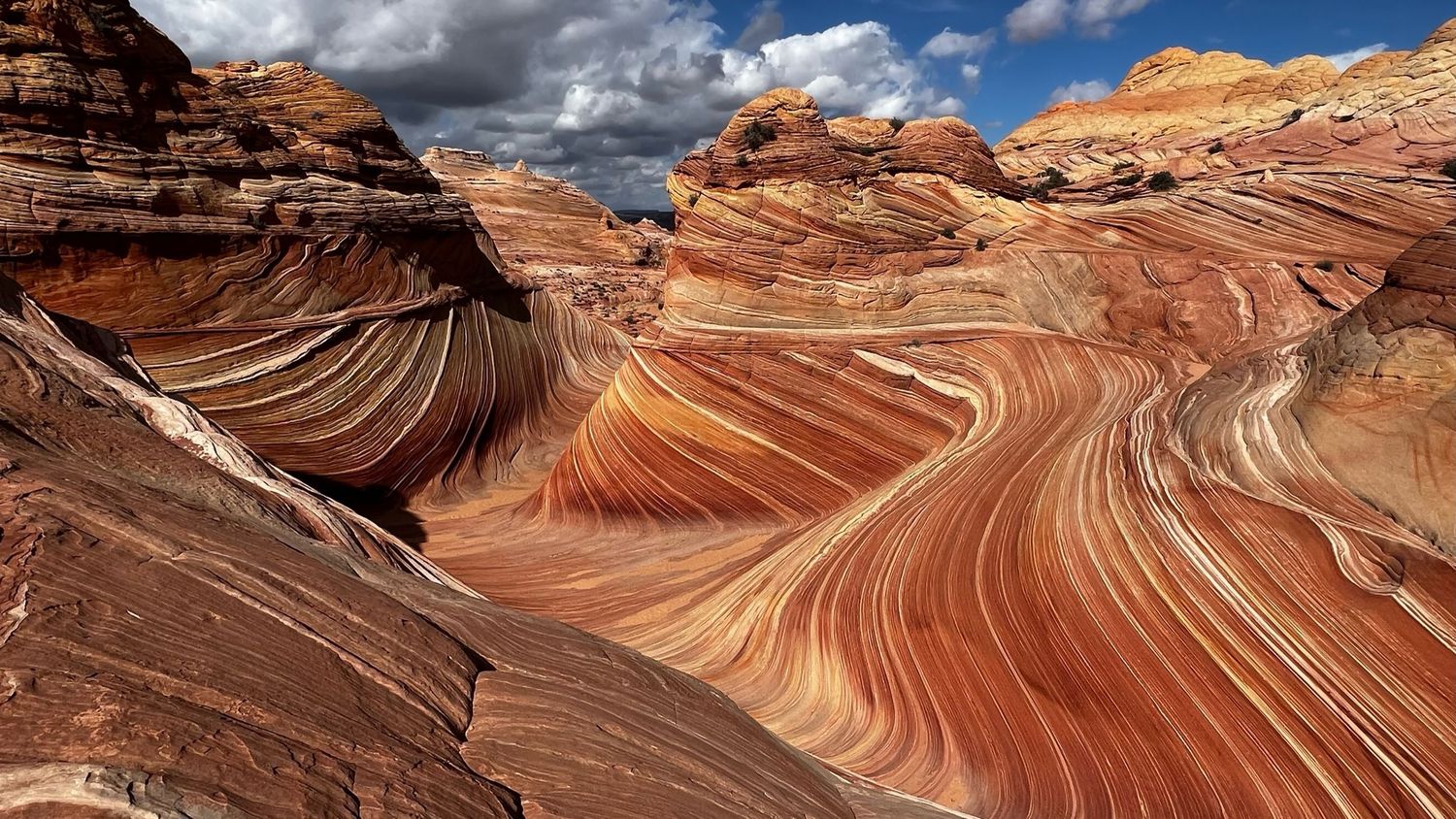 The Wave in southwestern Utah/Page Arizona prints available for sale