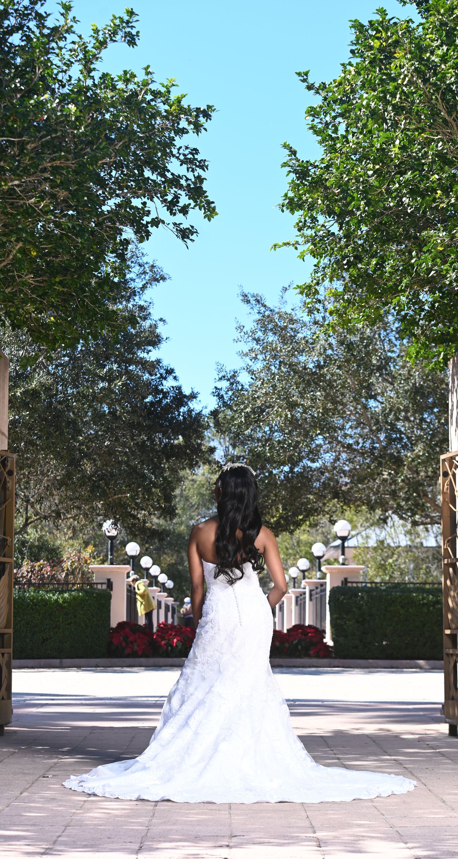 Bride in white lace mermaid gown with train stands between tree-lined path at outdoor wedding venue.