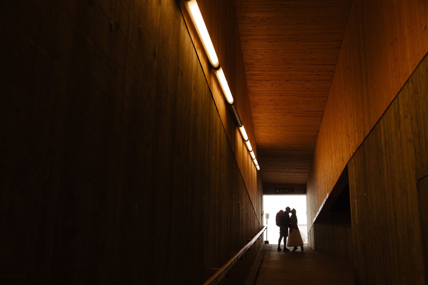 Dark wooden hallway with dramatic lighting and skylight creating moody atmosphere.