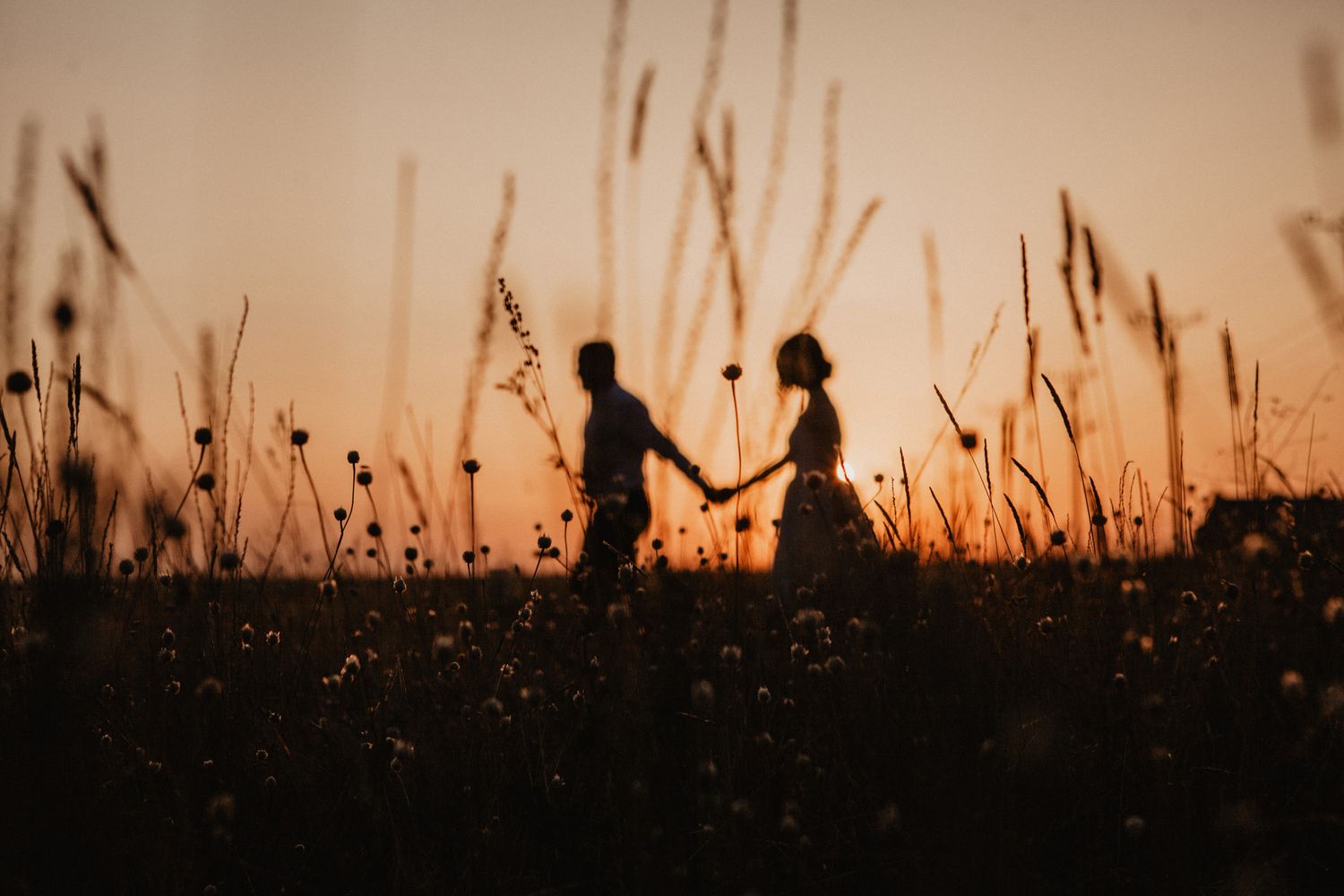 Silhouettes of two figures hold hands in a field of tall grass against a warm sunset sky.
