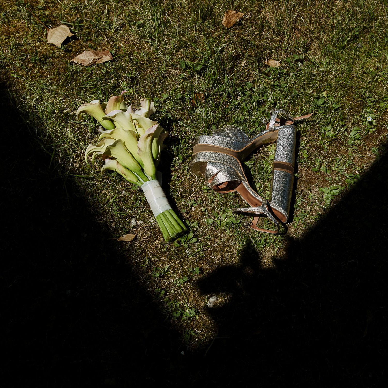 Sequence of photos showing a celery stalk being gradually cut into smaller pieces on grass with a knife.