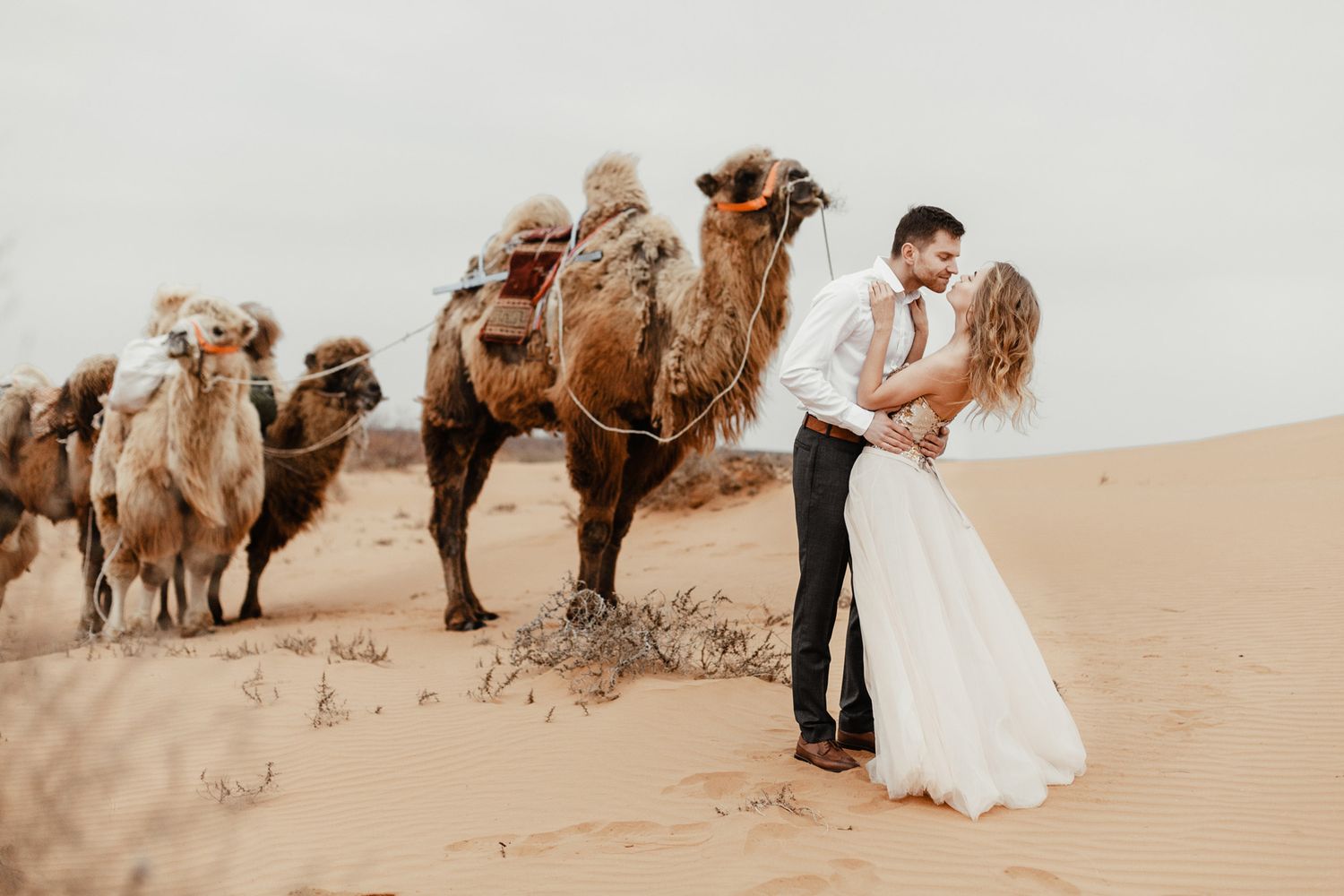 A romantic desert wedding scene with a couple and camels on sand dunes at sunset.