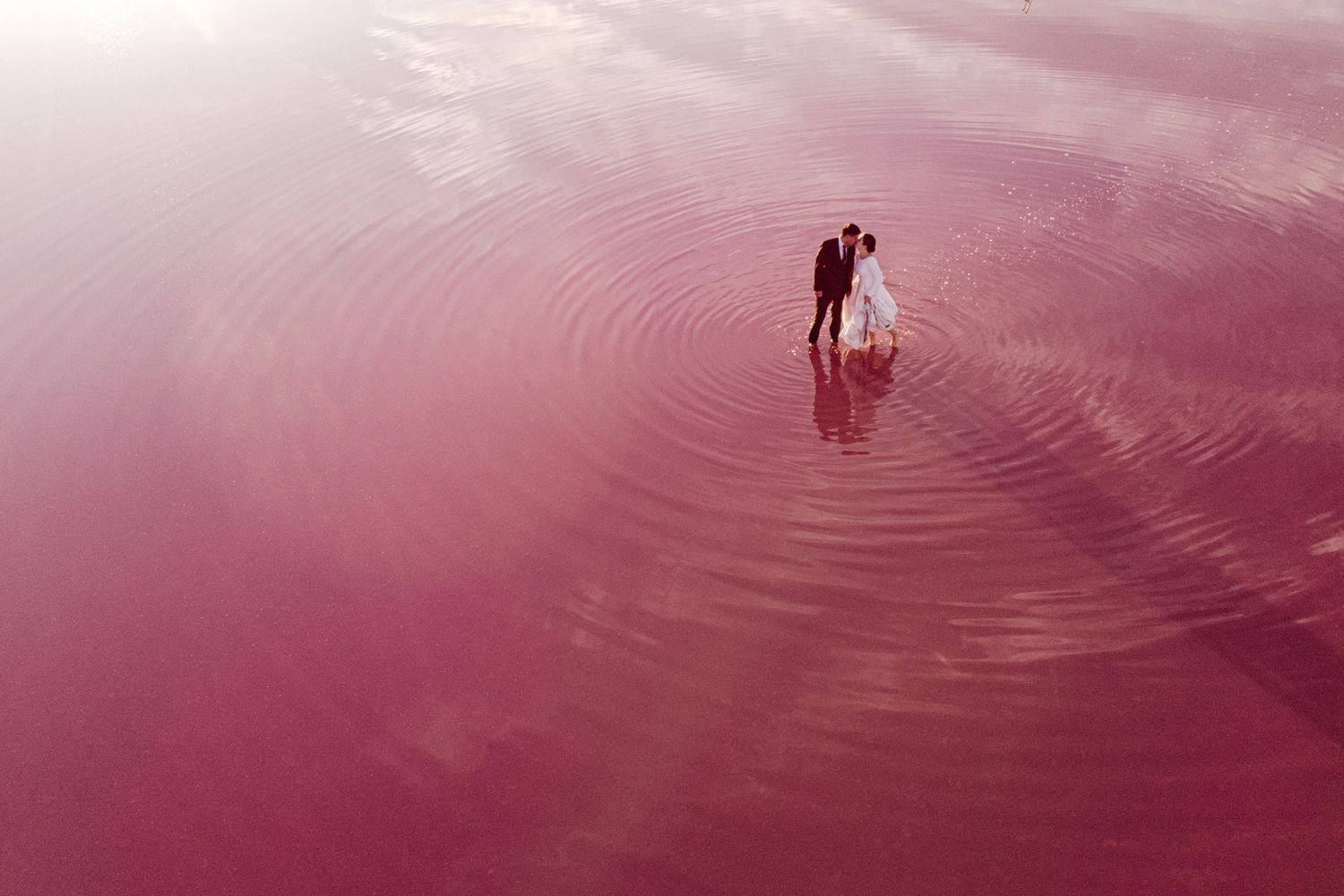 Rippling pink water surface creates concentric circles against a dreamy rose-colored background.