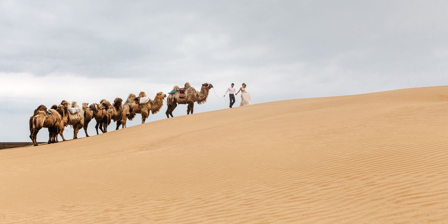 A caravan of camels traverses across golden sand dunes in a vast desert landscape at sunset.