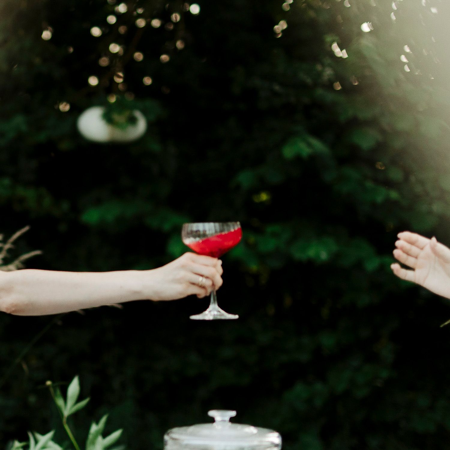 A sequence of hands holding champagne glasses in a dark outdoor setting with bokeh lights in the background.