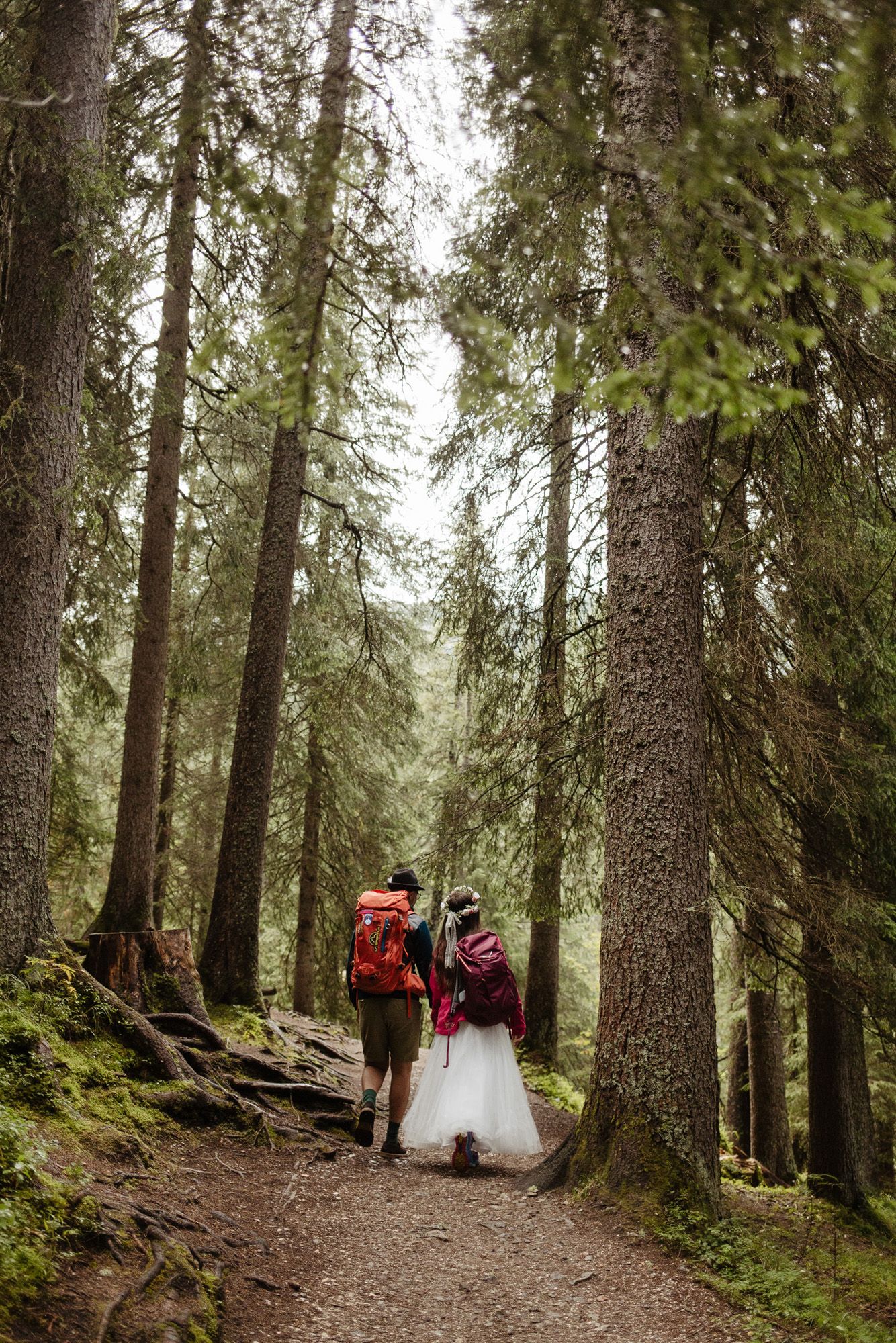A sequence of forest path photos showing wedding party figures walking through tall evergreen trees in natural lighting.