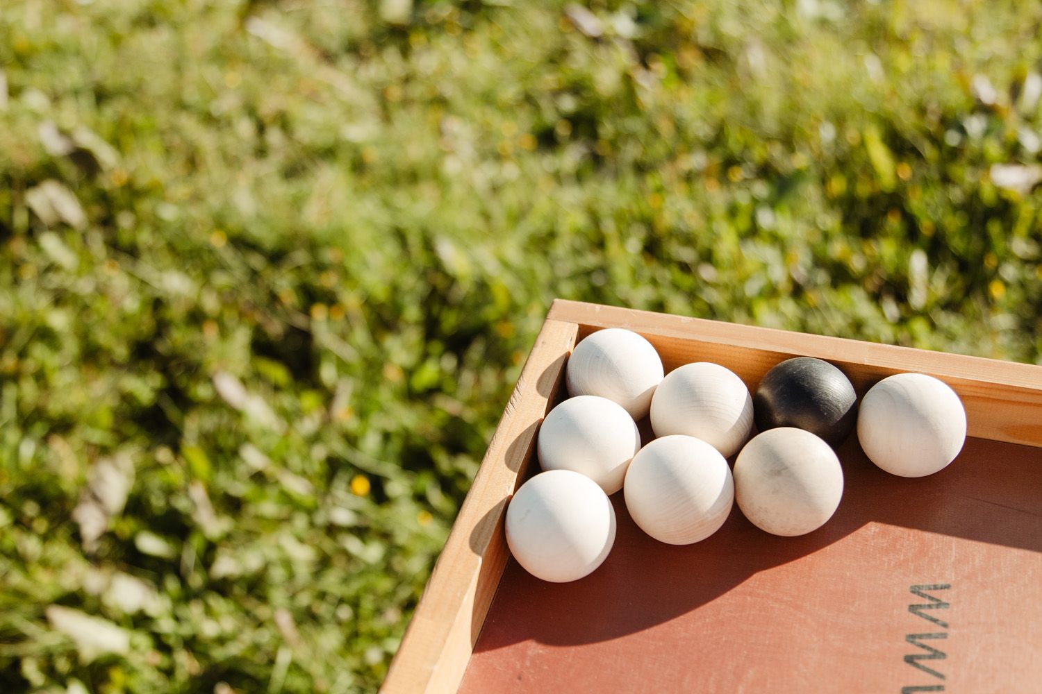 White golf balls lined up on wooden surface in outdoor setting with green foliage background.