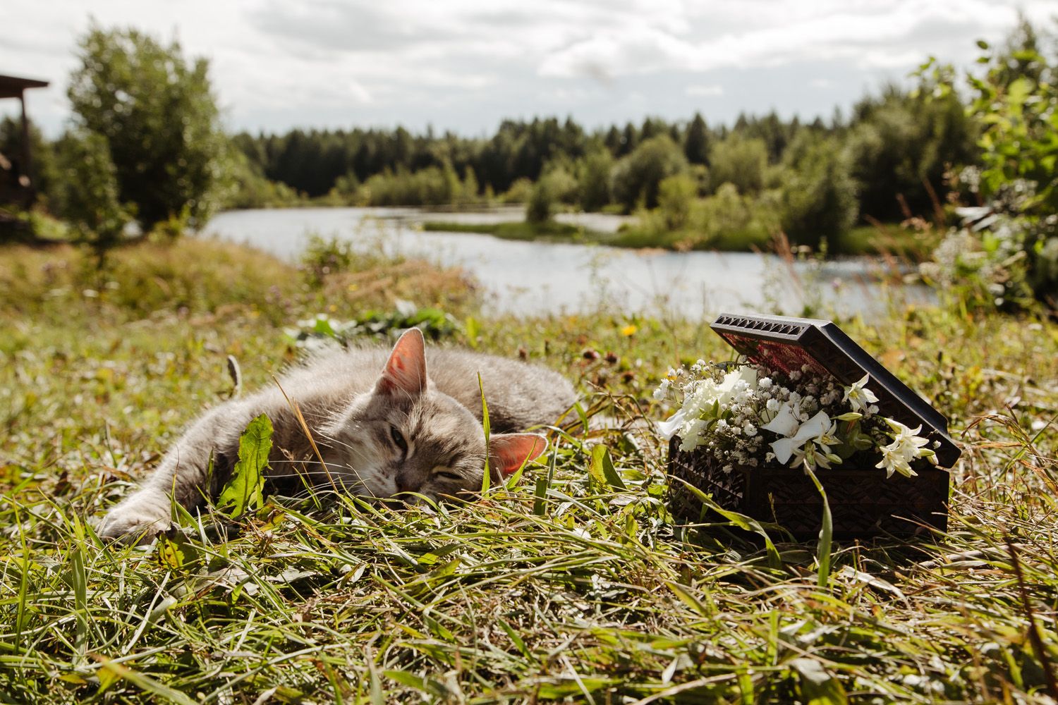 Wedding rings and camera lying in grass by a scenic lake on a summer day.