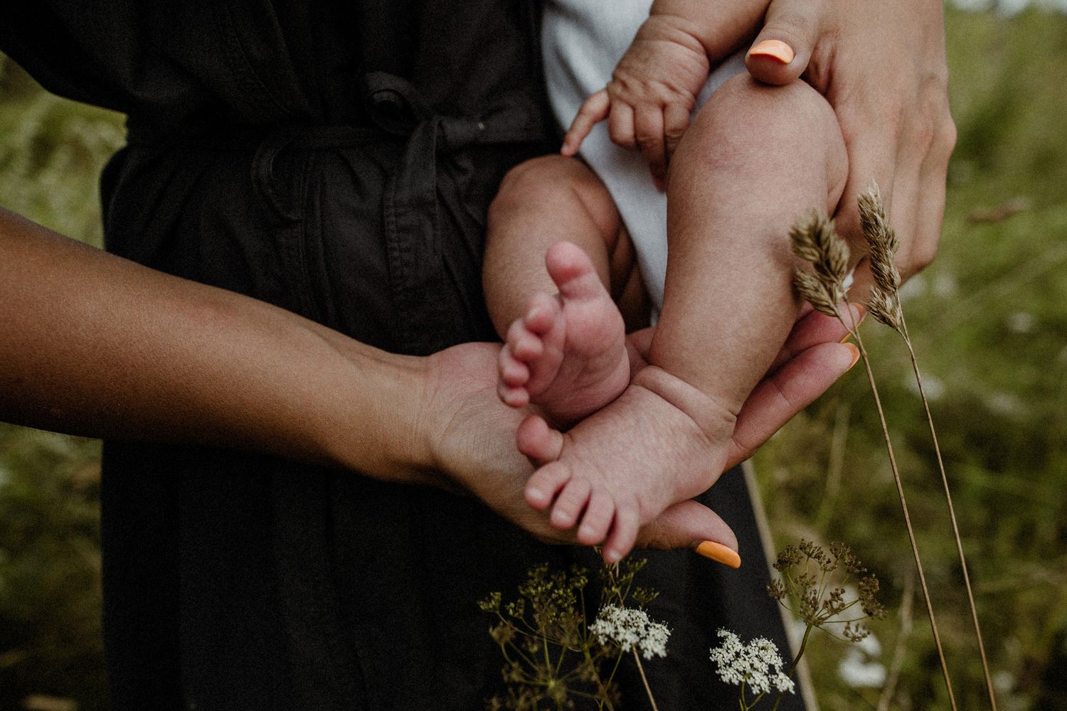 A series of hands holding delicate white wildflowers against a soft natural background.