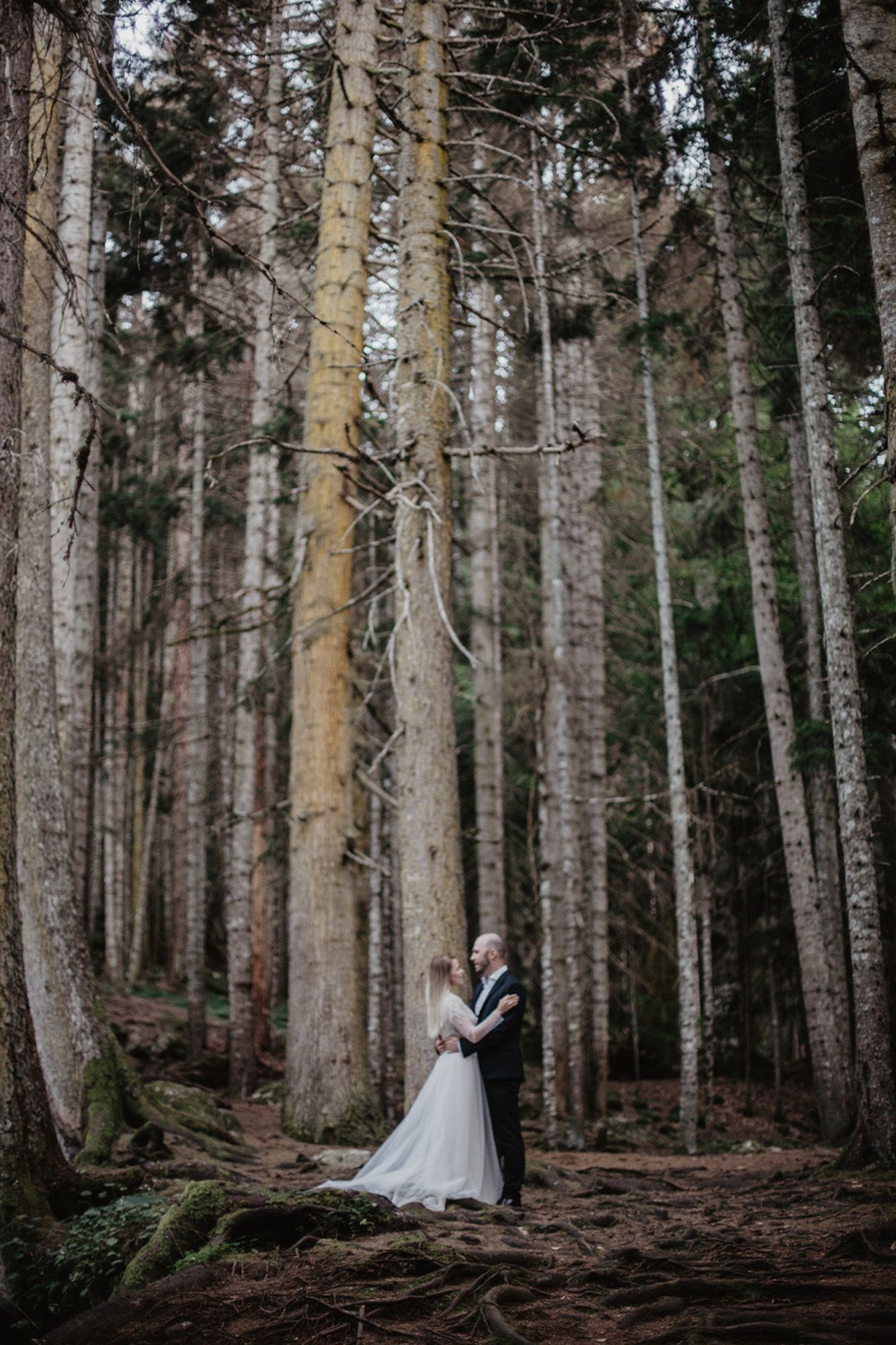 A couple shares an intimate moment among tall birch trees in a moody forest setting during their wedding day.
