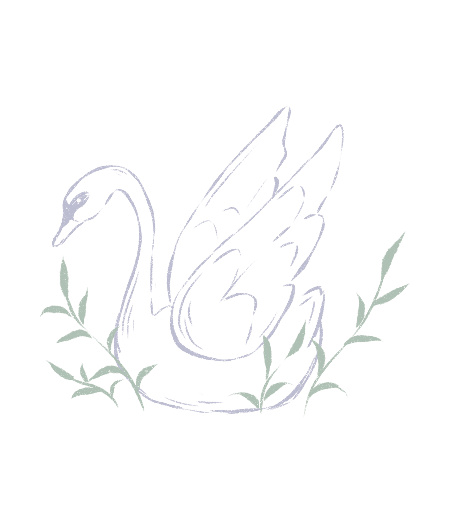 Delicate line art illustration of swans and foliage in soft blue and green tones.
