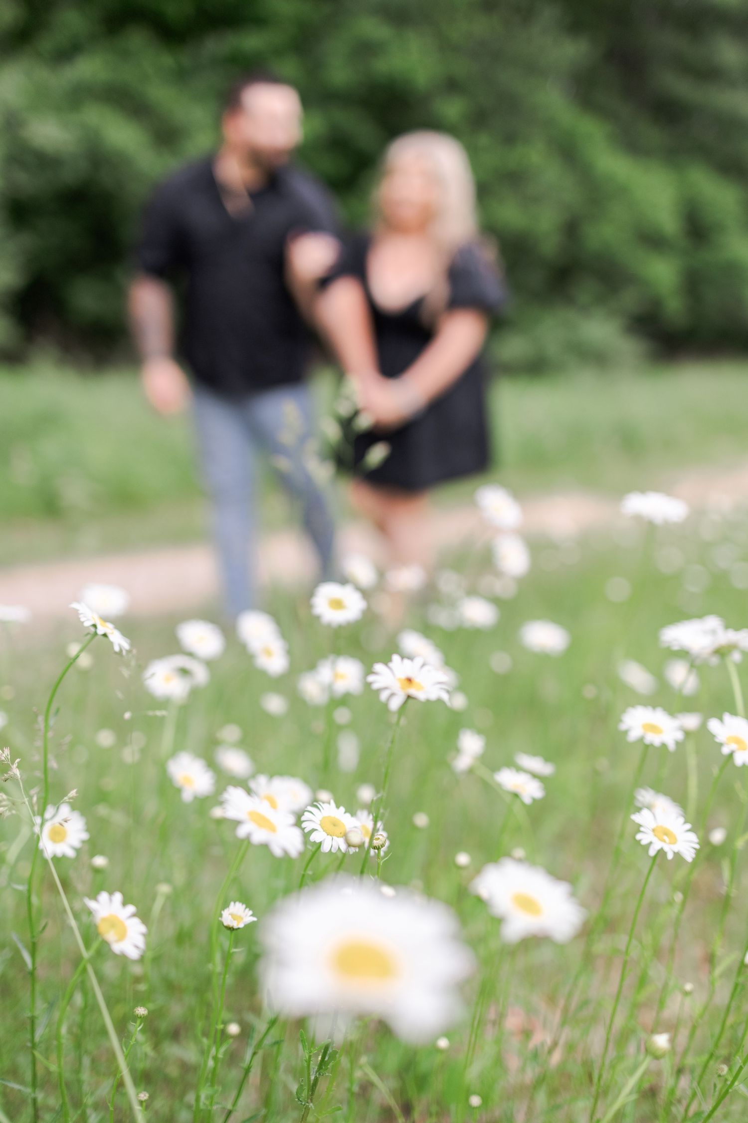 Romantic photo shoot in a meadow of blooming daisies with soft focus effect.