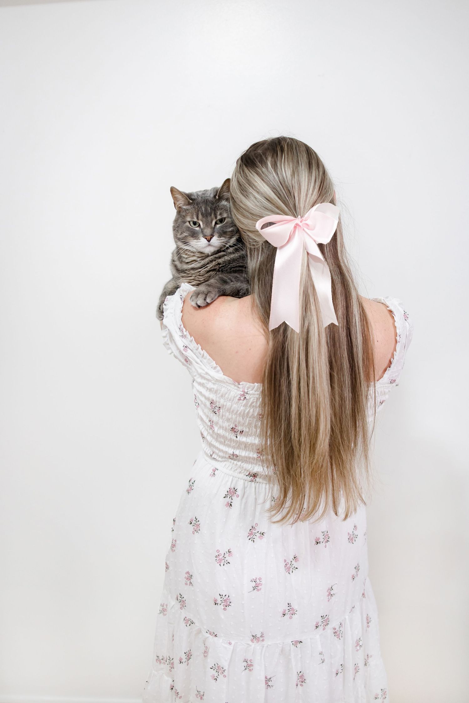 Back view of long blonde hair with pink bow holding a grey tabby cat against white background.