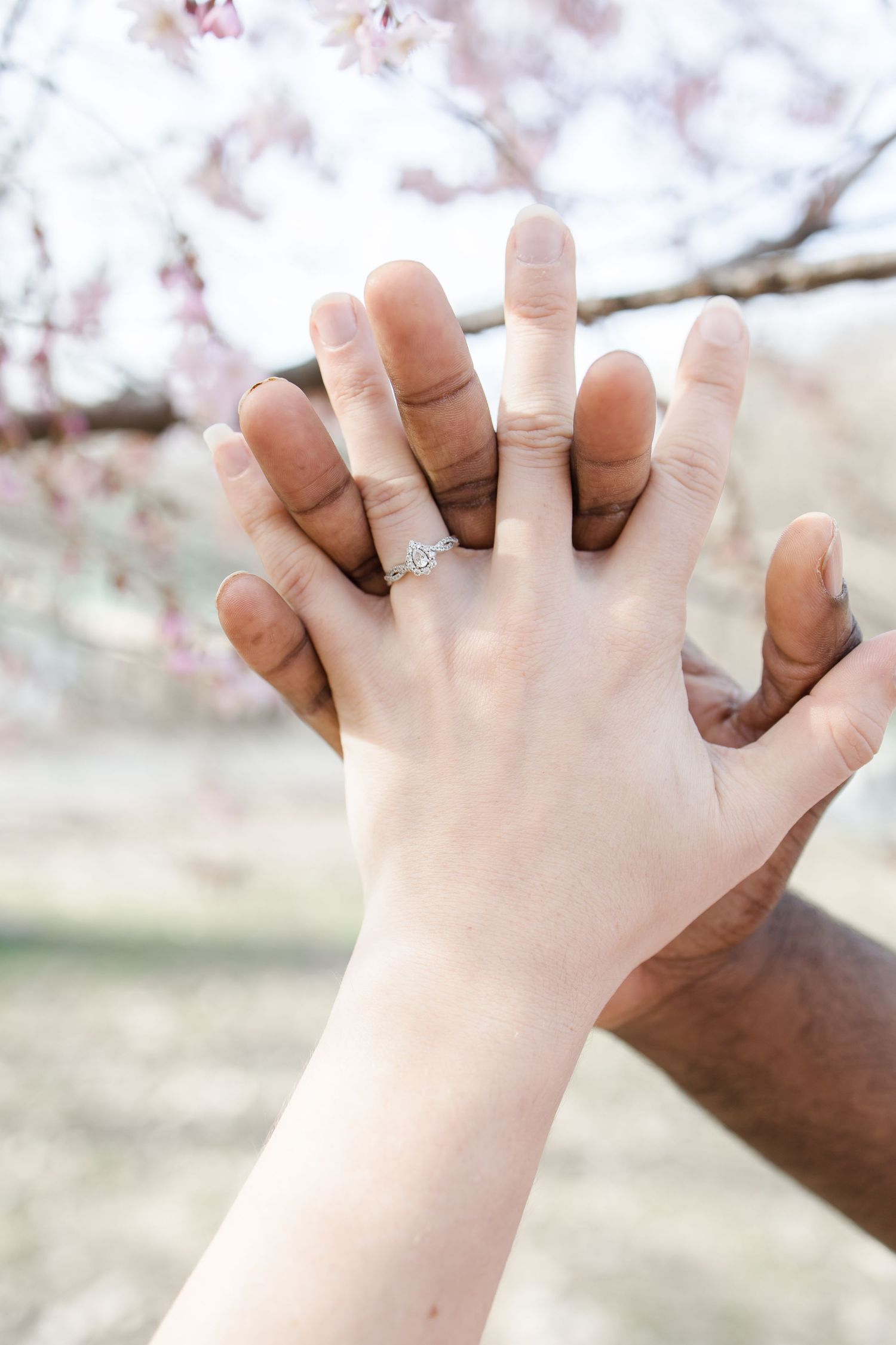 Two hands intertwined with an engagement ring visible against cherry blossoms in the background.