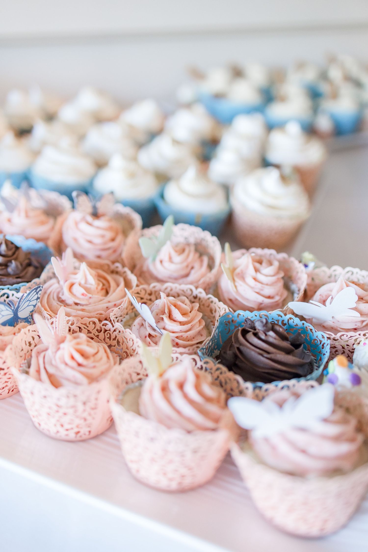 Rows of delicate pink and blue frosted mini cupcakes with swirled buttercream tops and chocolate sprinkles.