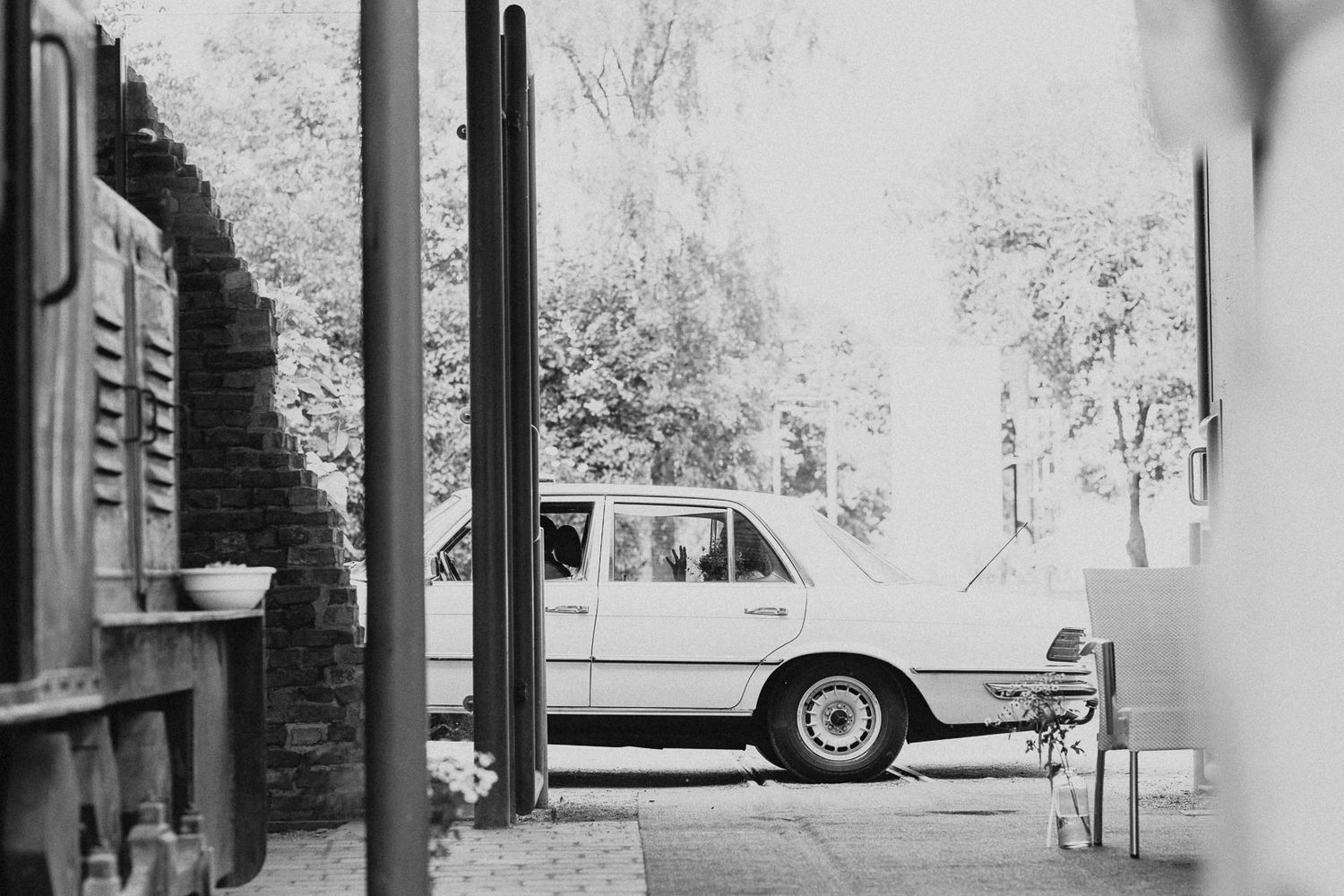 Classic cars parked on a tree-lined urban street in a black and white vintage photograph.