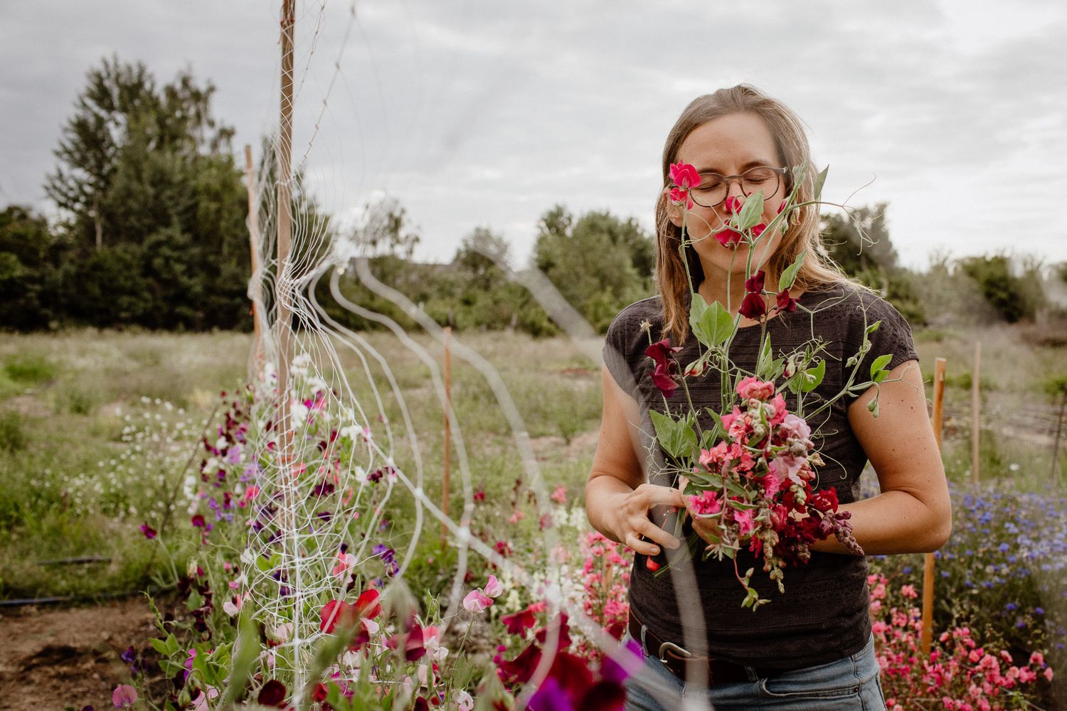 A gardener working among vibrant pink flowers in a sunny garden.