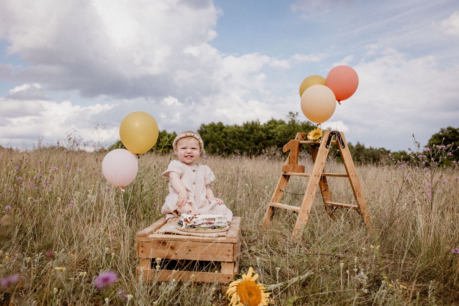 Rustic outdoor photo setup with wooden ladder, pastel balloons and crate in tall grass field.