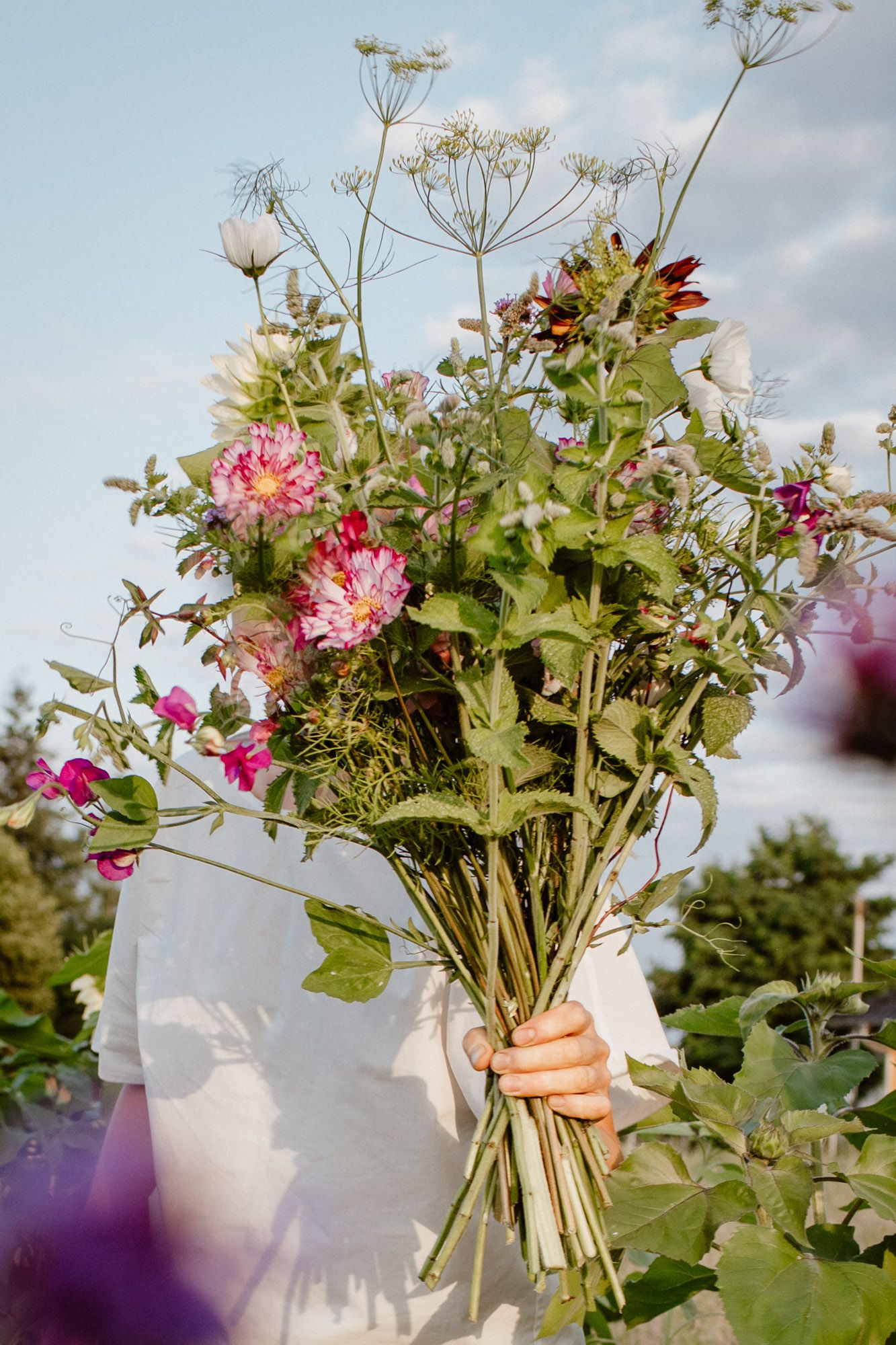 Fresh wildflower bouquet held against a bright sky with pink and white blooms.
