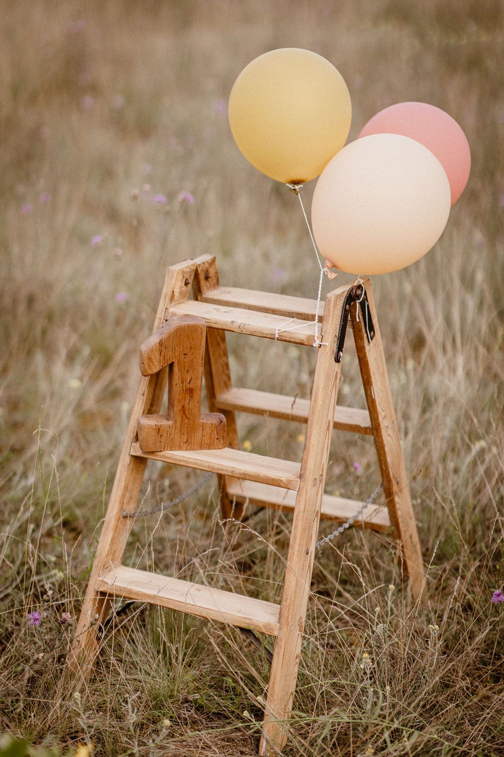 Vintage wooden ladder with pastel yellow and pink balloons tied to it stands in a rustic field.